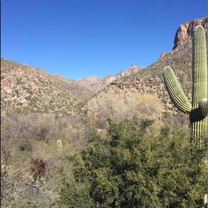 Meet your Posher, Camryn